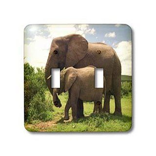 3dRose lsp_44876_2 Mama N Baby Elephants in Wild Double Toggle Switch   Switch Plates  