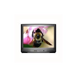 Sylvania 6419TG 19 Inch Tv Pewter Color Electronics