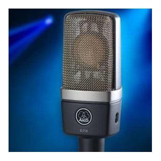 AKG Pro Audio C214 Condenser Microphone, Cardioid Musical Instruments