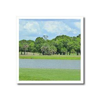 3dRose ht_7762_2 Golf Course Calm Iron on Heat Transfer for White Material, 6 by 6 Inch
