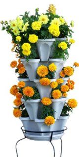 5 Tiered Hanging and Stacking Vertical Strawberry Planter Pot   Learn How to Grow Organic Strawberries Easy with these Cool indoor outdoor Terracotta Plastic Containers   Great Garden Planting Pots Kit   Planters Also Used For Pepper Herbs Flower Tomato Su