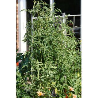 EarthBox 1010002 Garden Kit, Terra Cotta  Planters  Patio, Lawn & Garden