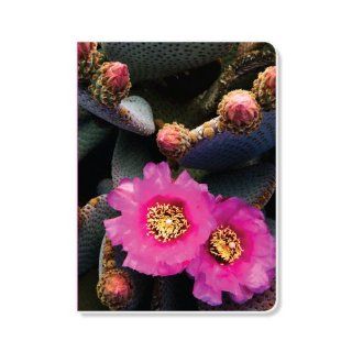 ECOeverywhere Cactus Flower Sketchbook, 160 Pages, 5.625 x 7.625 Inches (sk12297)  Storybook Sketch Pads 
