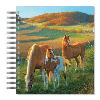 ECOeverywhere Enjoy the View Picture Photo Album, 18 Pages, Holds 72 Photos, 7.75 x 8.75 Inches, Multicolored (PA12440)  Wirebound Notebooks 