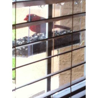 Duncraft 74201 Cardinal Classic Window Bird Feeder, 1 Quart  Wild Bird Feeders  Patio, Lawn & Garden