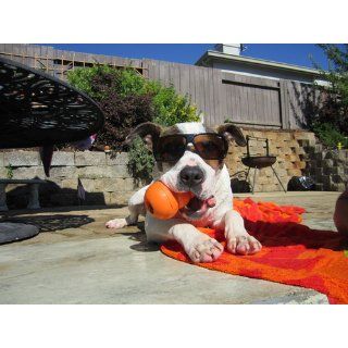 KONG Aqua Dog Toy, Large, Orange  Pet Toy Balls 