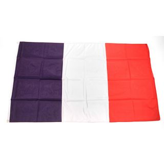 Premiership Soccer France National Team Flag (300 1140)