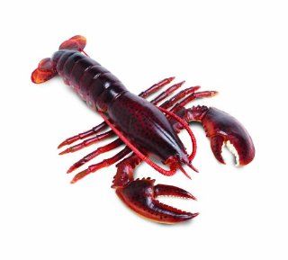 Safari Ltd  Incredible Creatures Maine Lobster Toys & Games