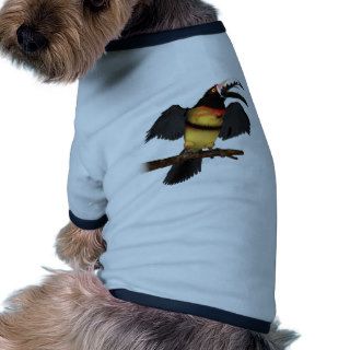 Collared Aracari Toucan Pet Shirt