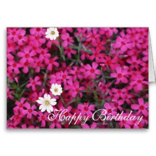 Pretty Pink Flowers Happy Birthday Card
