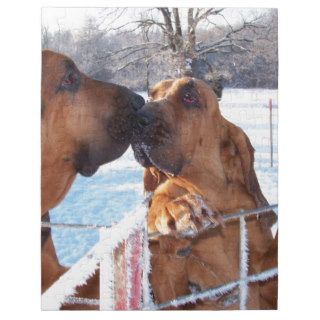 The Kiss   Bloodhound Puzzles