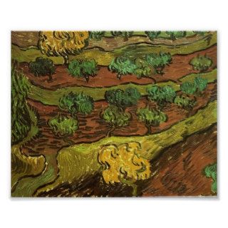 Van Gogh   Olive Trees against a Slope of a Hill Posters