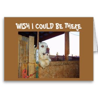BIRTHDAY WISH I COULD BE THERE GREETING CARDS