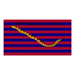 South Carolina Naval Flag during Revolutionary War Posters