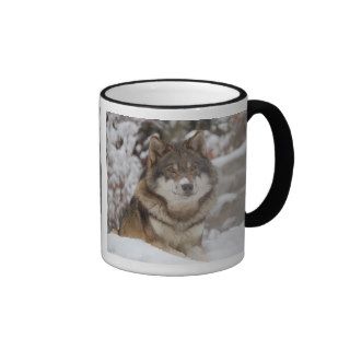 Winter Wolf Mugs