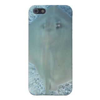 Fresh Water Stingray iPhone 4 Case