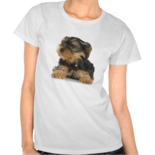 Yorkshire Terrier Ladies Fitted T Shirt