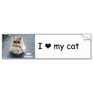 Cat Bumper Sticker