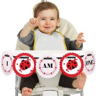Modern Ladybug   High Chair Birthday Banners Toys & Games