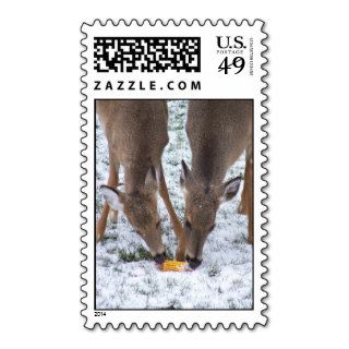 Deer Sharing Corn Postage Stamp