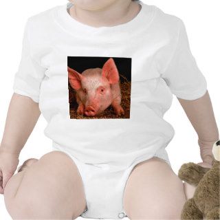 Pig Whats Shakin Bacon Shirts