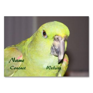 Yellow Naped  Parrot Business Card