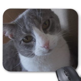 Gray and White Cat Mousepad
