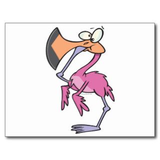 funny pink flamingo with foot in mouth post card