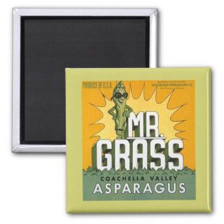 MAGNET ~ ANTHROPOMORPHIC ASPARAGUS   MR. GRASS