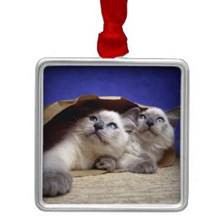 Cats in paper bag christmas tree ornaments