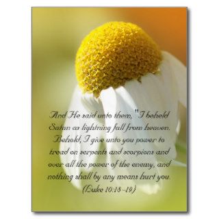 Bible verses, Daisy Post Card