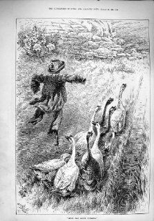 1890 Much Ado Nothing Scarecrow Geese Birds Print  
