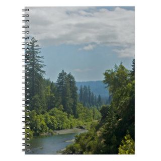 Redwood Trees along the Eel River on the 101 Spiral Notebooks