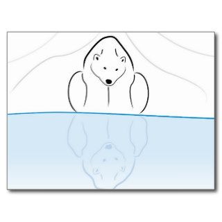 Polar bear Reflection on global warming Post Cards