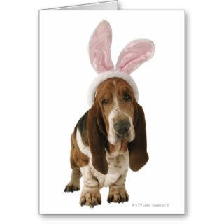 Basset hound with bunny ears card