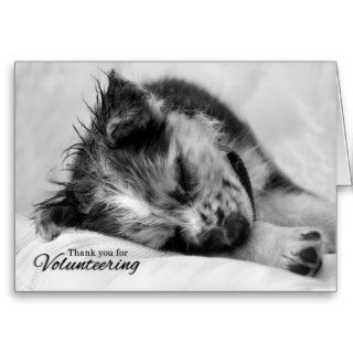 Volunteer Thank You Australian Shepherd Puppy Card
