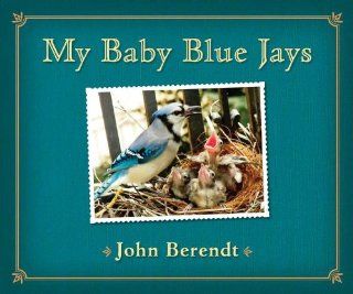 My Baby Blue Jays John Berendt 9780670012909  Kids' Books