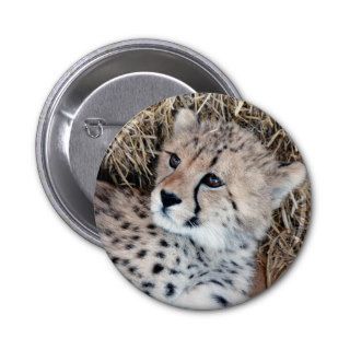 Cute Cheetah Cub Photo Pinback Button