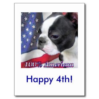 100% American Boston Terrier Post Card