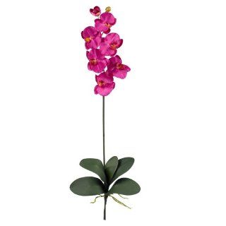 Nearly Natural 2044 BU 12 Phalaenopsis Stem (Set of 12) Beauty   Artificial Flowers