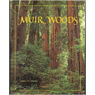 Muir Woods The Ancient Redwood Forest Near San Francisco James M. Morley 9780938765530 Books