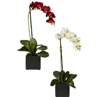 Nearly Natural 4757 S2 Phaleanopsis Orchid with Black Vase Decorative Silk Arrangement, Red and White, Set of 2   Artificial Flowers