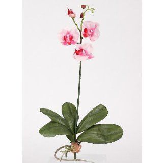 Mini Phalaenopsis Silk Orchid Flower with Leaves   Pink White   Artificial Flowers