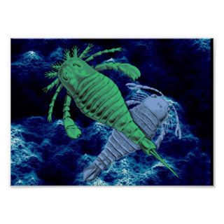 Sea Scorpions Print