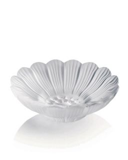 Paquerettes Dish   Lalique