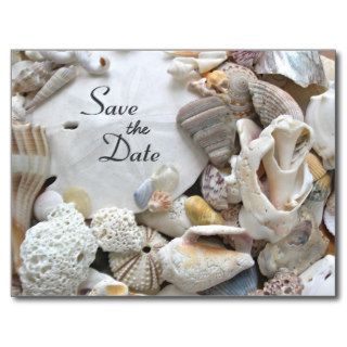 Beach Shells Save the Date Announcement Postcard