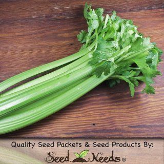 200 Seeds, Celery "Utah 52 70" (Apium graveolens) Seeds By Seed Needs  Vegetable Plants  Patio, Lawn & Garden