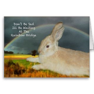 Sympathy for loss of pet rabbit greeting card