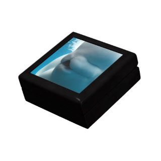 Beluga Whale Gift Box