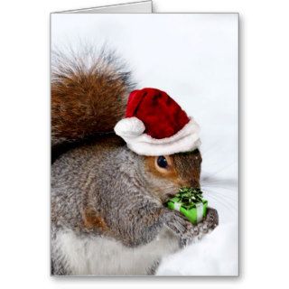 Весёлого Рождества Christmas Squirrel Greeting Cards